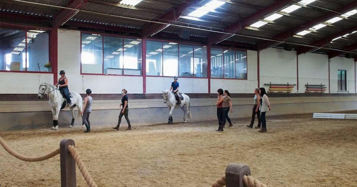 Hotel Equi-Art Reitanlage Schwall Esterno foto