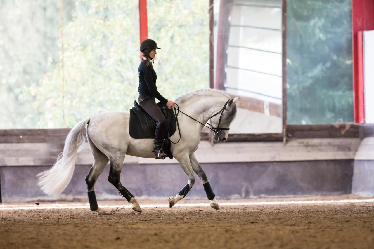 Hotel Equi-Art Reitanlage Schwall Esterno foto
